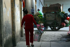 Đào tết 'phơi mình' héo tàn trên vỉa hè