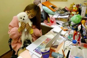 Được phép mang thú cưng đến công sở để... giảm stress