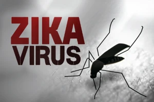 Bác thông tin có bốn người nhiễm virus Zika ở Khánh Hòa