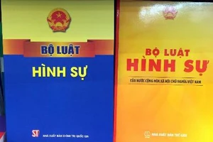 3 lỗi nghiêm trọng trong Bộ luật Hình sự 2015