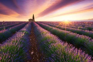 Ngỡ ngàng trước những bức ảnh bình minh tuyệt đẹp