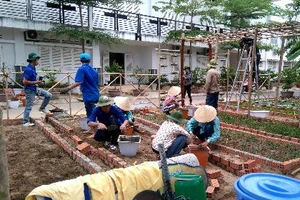 Sinh viên dựng 'vườn rau liệu pháp' tặng bệnh viện