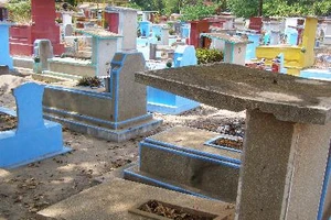 Đã bốc gần 4.800 ngôi mộ ở nghĩa trang Bình Hưng Hòa
