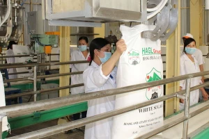 Ngân hàng Nhà nước thông qua đề xuất 'cứu' Hoàng Anh Gia Lai