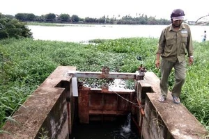  Đếm không xuể hư hỏng ở đê bao sông Sài Gòn 