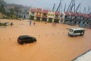 Mưa lớn ngập cục bộ, Quảng Ninh khẩn trương ứng phó