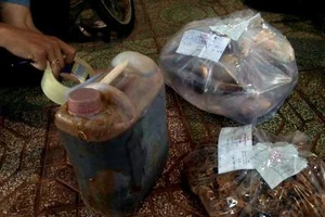 Phát hiện giá đỗ 'tắm' chất kích thích và thuốc tẩy trắng