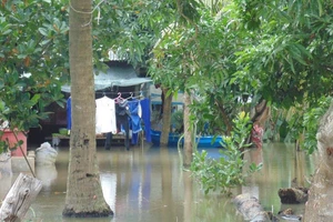 Cha ngủ quên, để con chưa đầy một tuổi chết đuối