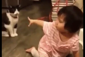 Cười tít mắt với em bé bị chú mèo chơi khăm