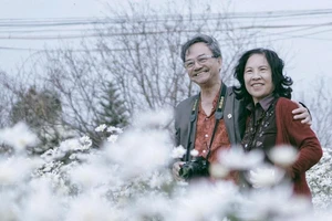 Họa mi cuối mùa ngập tràn phố Hà Nội