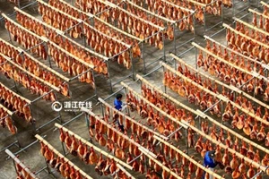 Ấn tượng với cảnh phơi đùi lợn xông khói chuẩn bị tết