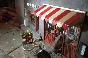 Ngộ nghĩnh những ngôi nhà chuột trên phố Thụy Điển