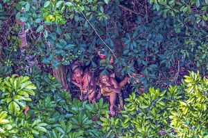 Phát hiện bộ lạc bí ẩn trong rừng Amazon