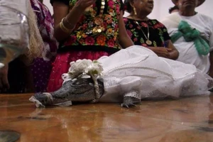 Kỳ lạ tục đám cưới với... cá sấu ở Mexico