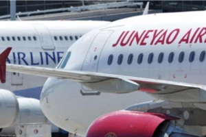  Cả chuyến bay náo loạn vì đứa bé đi 'chui'