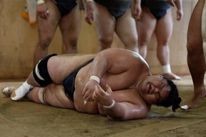 Sự thật ít biết về cuộc sống của võ sĩ sumo