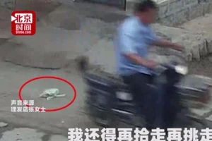 Chê tóc xấu, khách hàng ném bom thối trả thù