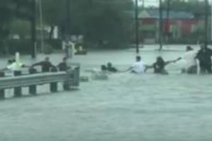 Hàng chục người nối tay nhau cứu cụ già khỏi cơn lũ dữ