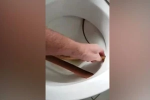 Ớn lạnh xem cảnh dùng tay không lôi rắn ra khỏi bồn cầu