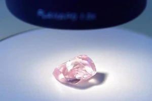 Tìm được kim cương hồng có kích thước khủng