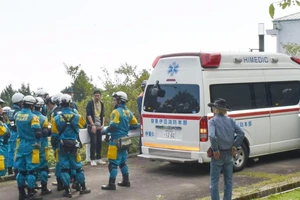 Bé 4 tuổi sống sót kỳ diệu sau 45 giờ lạc trong rừng