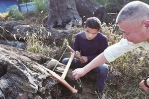 Vô tình vớ được 'kho báu' gần 700 tỉ dưới sông