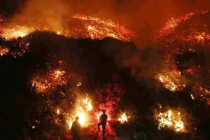 Diện tích cháy rừng California lan rộng kinh hoàng