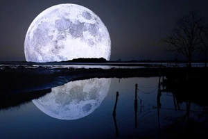 Thế giới đón chào năm mới với mặt trăng sói