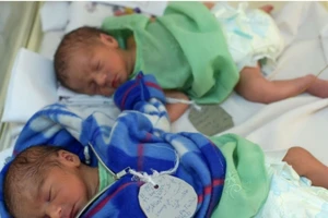 Đất nước ngày sinh nhật phổ biến của dân là 1-1