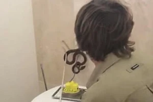 Kinh hãi rắn 4m ẩn náu bên trong bể chứa nước