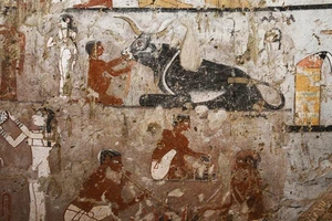 Bất ngờ phát hiện mộ cổ Ai Cập 4.400 tuổi