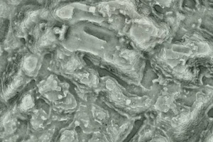 Phát hiện thành phố cổ gần ngàn năm tuổi ở Mexico