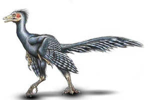 Giải mã bí ẩn loài chim cổ Archaeopteryx