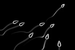 Ông bố có 9 người con mới phát hiện mình... vô sinh