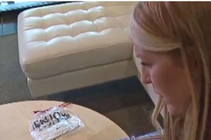 Bị phạt 500 USD chỉ vì 1 quả táo trên máy bay