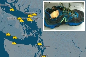 Bí ẩn hàng loạt bàn chân người dạt vào bờ biển Canada