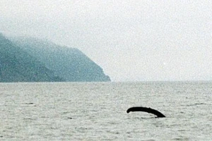 Bí ẩn quái vật hồ Loch Ness sắp có lời giải