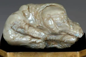 Ngọc trai 'sư tử ngủ' lớn nhất thế giới có giá 8,5 tỉ đồng