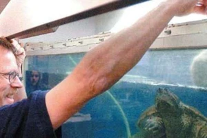 Cho rùa ăn tái cún con trước lớp, thầy giáo đối mặt án tù