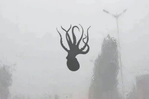 Trung Quốc xuất hiện cơn mưa hải sản kỳ lạ