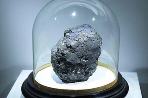 Thiên thạch 4,5 tỉ năm hé lộ nguồn gốc của sự sống