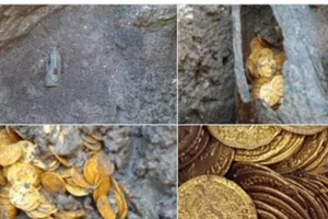 Đào móng nhà hát, phát hiện kho báu hàng triệu USD