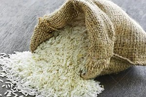 Choáng với bài tập bắt học sinh đếm đủ 100 triệu hạt gạo