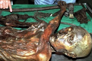 Giải mã hình xăm trên xác ướp Otzi 5.300 tuổi