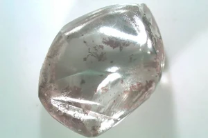 Cụ bà vô tình nhặt được kim cương khủng khi dạo chơi công viên