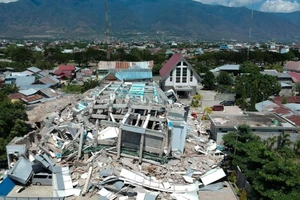 Động đất Indonesia: Số người chết đã lên tới 832 người