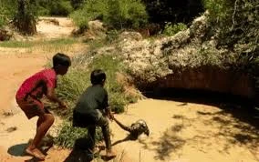 Clip: 2 bé trai dũng cảm giải cứu khỉ khỏi trăn khổng lồ