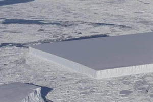 Kinh ngạc phát hiện tảng băng vuông vức kỳ lạ ở Nam Cực