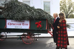 Lần đầu tiên ông Trump đón cây thông Giáng sinh cùng phu nhân