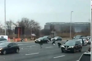 Xe chở tiền bung cửa, cao tốc Mỹ náo loạn vì người hôi của